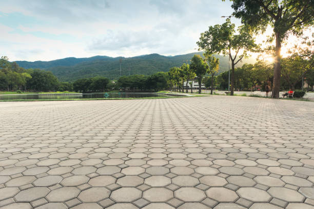 Best Concrete Paver Driveway  in Snyder, TX