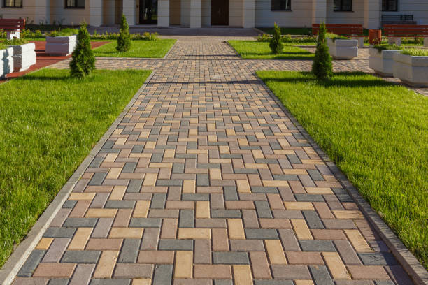 Best Driveway Paving Contractor  in Snyder, TX
